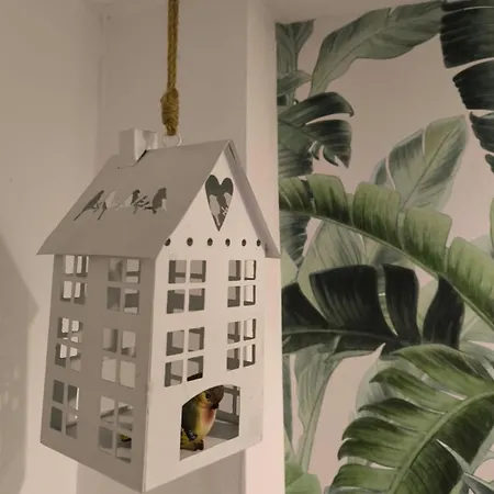 The Sun House Apartment