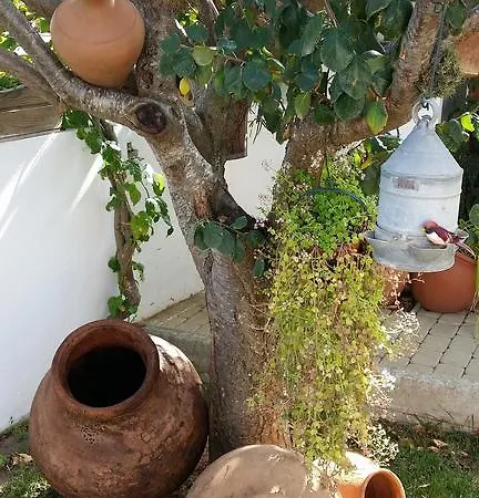 The Sun House Apartamento