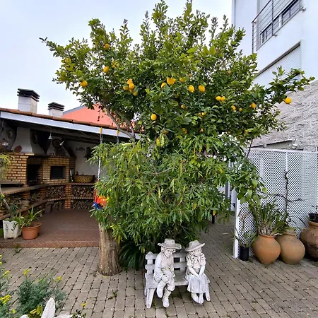 The Sun House Lejlighed Santa Iria de Azoia