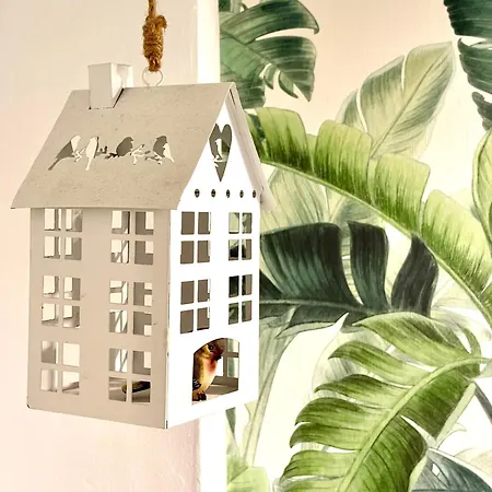 The Sun House *