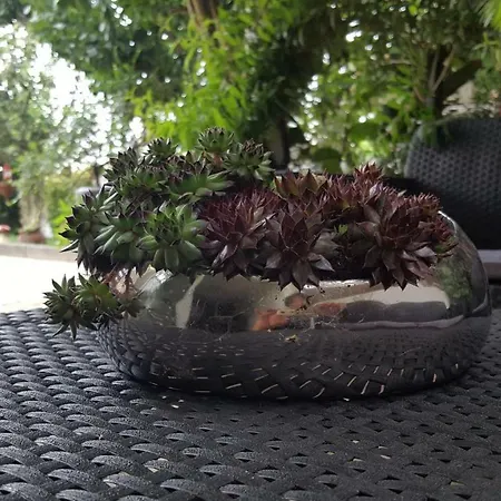 The Sun House Apartamento *