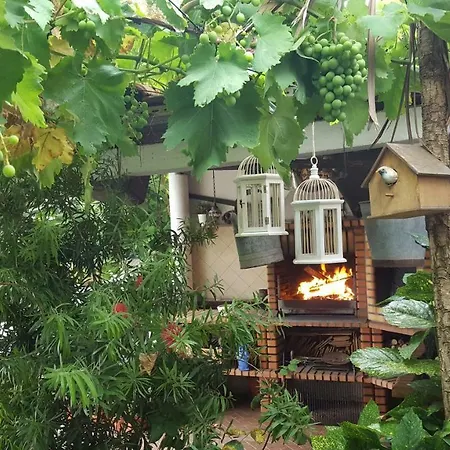The Sun House Lejlighed *