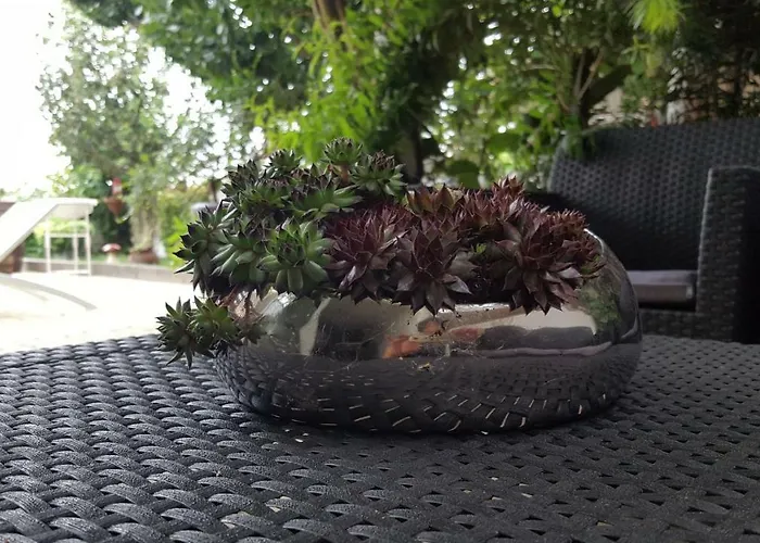 The Sun House Apartman *